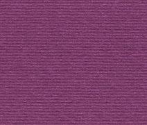 Elle Erre 50x70 cm - Viola