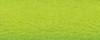 Silkespapper - Apple green