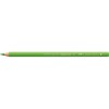Färgpenna  POLYCHROMOS 166 grass green