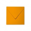 Pollen Kuvert 165x165, 120g Orange 20-p