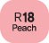 Touch Twin BRUSH Marker Peach R18