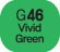 Touch Twin BRUSH Marker Vivid Green G46