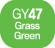 Touch Twin BRUSH Marker Grass Green GY47