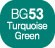 Touch Twin BRUSH Marker Turquoise Green BG53