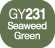 Touch Twin BRUSH Marker Seaweed Green GY231