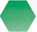 Akvarellfärg Sennelier 1/2-kopp>S1-Veronese Green 847