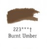 Airbrushfärg FW  29,5 ml Burnt Umber 223