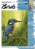 Litteratur Leonardo Bok - nr 28 Birds