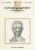Litteratur Leonardo Bok Human Anatomy, Anatomy pla