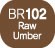 Touch Twin Marker Raw Umber BR102