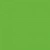 Derwent Färgpenna Coloursoft C420 Green