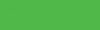 Permanent Green Light 483   60ML