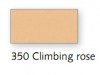 350 Rose muraille/ Gulrosa 50X65    ARK