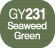 Touch Twin Marker Seaweed Green GY231