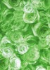 
                    Decopatch - Green roses
