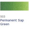 Permanent Sap Green  503 TUB   14ML