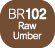 Touch Twin Marker Raw Umber BR102