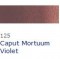 Caput Mortuum Violet  125 TUB   14ML